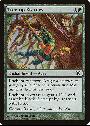 Treetop Bracers
