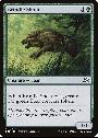 Brindle Shoat