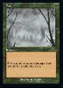 Fog