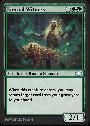 Eternal Witness