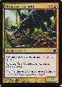 Monstrous Carabid