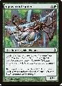 Aquastrand Spider