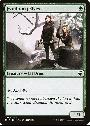 Fyndhorn Elves