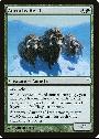 Aurochs Herd