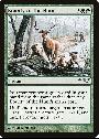 Bounty of the Hunt