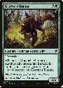 Graypelt Hunter