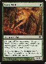 Young Wolf