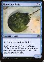 Horseshoe Crab