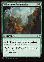 Wilderness Reclamation