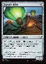 Haywire Mite