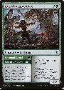 Rosethorn Acolyte // Seasonal Ritual