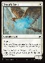 Healer's Hawk
