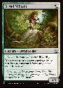 Dryad Militant