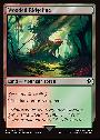 Wooded Ridgeline