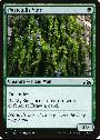 Portcullis Vine