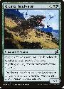 Greater Sandwurm