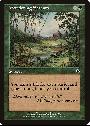 Wandering Stream