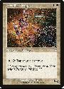 Benalish Trapper