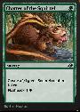 Chatter of the Squirrel