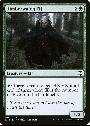 Timberwatch Elf