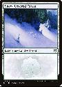 Snow-Covered Forest