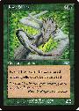 Root Sliver