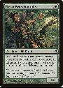 Elvish Branchbender
