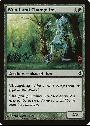Woodland Changeling