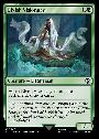 Elvish Visionary