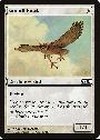 Suntail Hawk