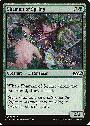 Shaman of Spring