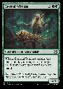 Eternal Witness