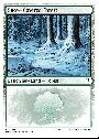 Snow-Covered Forest