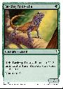 Basking Rootwalla