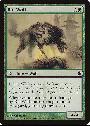 Rot Wolf