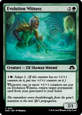 Evolution Witness