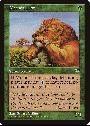 Mtenda Lion