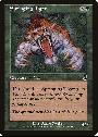 Springing Tiger