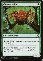 Canopy Spider
