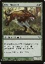 Wild Mongrel