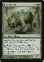 Blastoderm