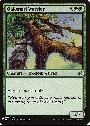 Oakgnarl Warrior