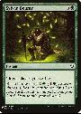 Sylvan Bounty