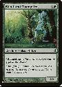 Woodland Changeling
