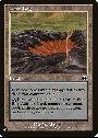 Peat Bog