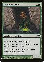 Devoted Druid