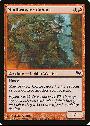 Mudbrawler Cohort