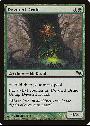 Devoted Druid