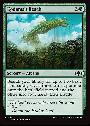 Kodama's Reach