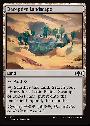 Deceptive Landscape